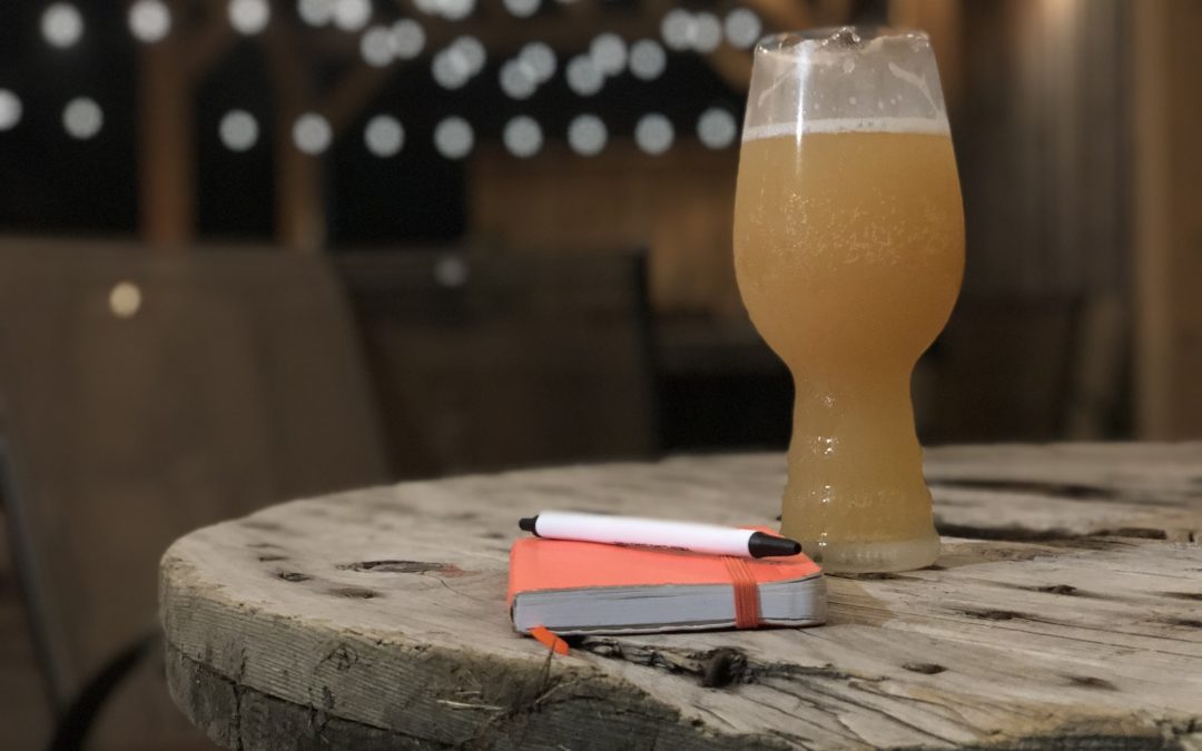 Drink Geek: An Education in Craft Beer